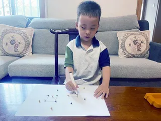 厨房用具变奏曲5