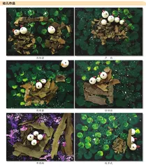 中班综合美术活动:小鸟的家4