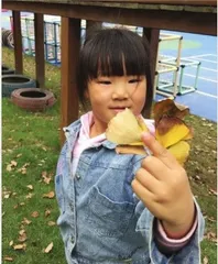 我爱银杏叶1