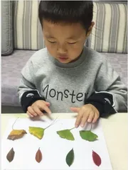 我爱银杏叶4