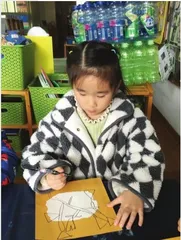 我爱银杏叶5