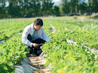 引导更多大学生成为“新农人”