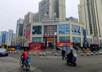 官僚主义新画像:邛崃一违法项目被“拖”成了合法