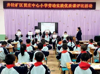 在劳动中体验 在体验中成长