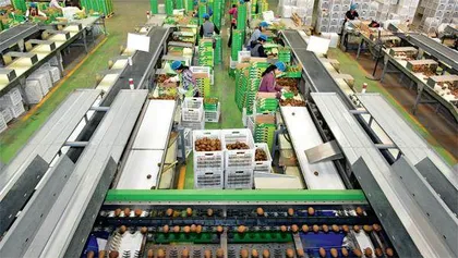 开放包容,让眉县民营经济迈向高质量
