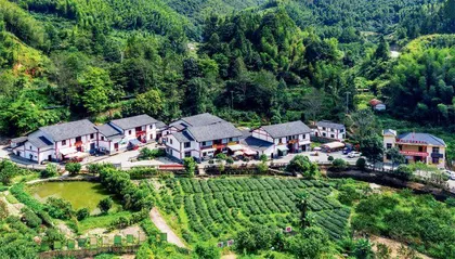 江西井冈山:糍粑越打越黏,生活越过越甜