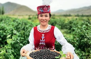 七彩富蕴,焕发新活力