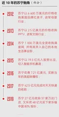 苏宁失势1