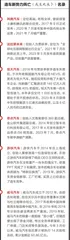 比亚迪:从单打独斗,到攥指成拳2