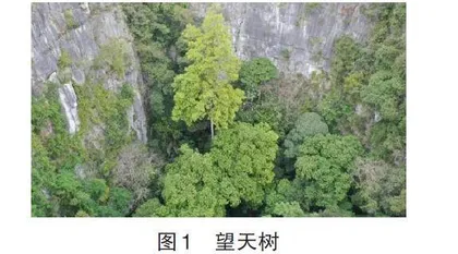 基于尺度思想的高中地理解题思路构建与运用研究