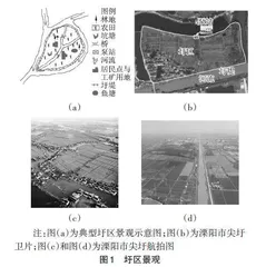 圩区的水文调蓄及营养盐拦截作用研究