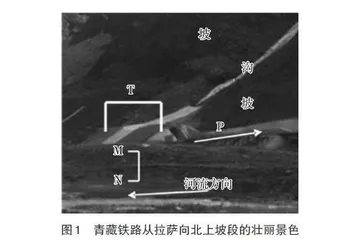 核心素养背景下地理综合思维的培养路径初探