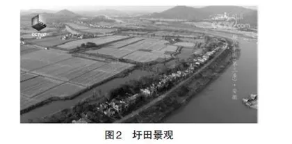 “思维为径，素养为旨”的思维课堂实录与分析