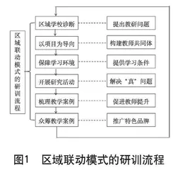 中小学体育教师区域联动模式研训实践探索