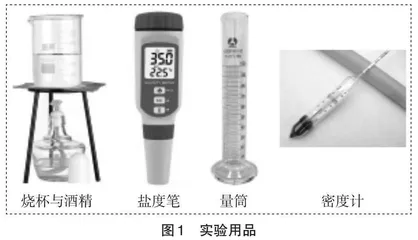 “海水的性质”地理实验教学设计 