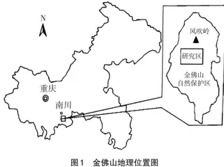 基于地理实践力的重庆金佛山研学旅行设计