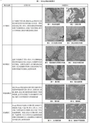基于Windy网站助力地理核心素养的培育
