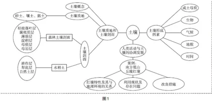 “土壤”单元活动设计