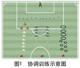 “五环节训练课”模式在初中足球教学中的实践