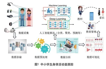 人工智能在中小学生身体活动监测中的应用 
