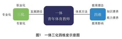 区域推进青年体育教师专业发展的新探索