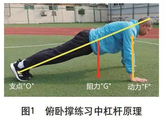 俯卧撑究竟能推起多少自身的重量