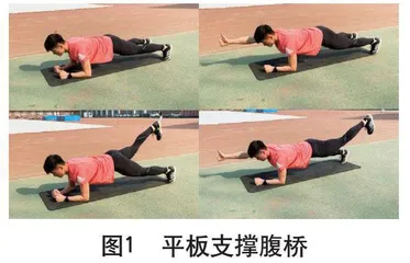 核心稳定能力提升的训练方法