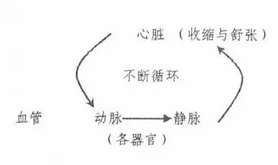 多媒体运用课