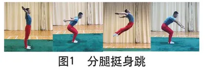 提高中小学生体操山羊分腿腾跃落地稳定性 的身体功能训练方法