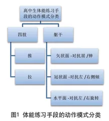 高中生体能模块动作设计参考变量及应用