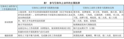 关于发展儿童青少年引体向上动作能力的思考