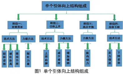 “1+4+X”：七年级男生引体向上教学实践
