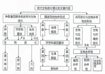 运用“思维导图”提高生物课堂学习效果