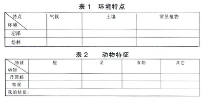 探究性课堂之“问题”产生的艺术