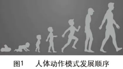基于SFMA的多部位屈曲评估方法提高坐位体前屈能力的探讨