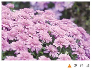 轻松带班，从关注问题解决方案开始 