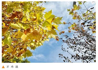 在区域游戏中自由成长 