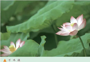跳出一片新天地