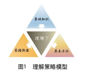 “教会”视域下初中体育开放性运动 项目策略研究