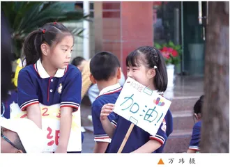 “小刺猬”找朋友