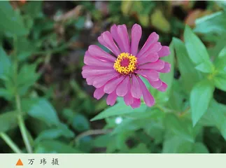 守住学生心中那片绿