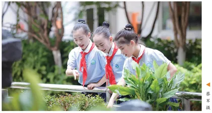 怯懦也应该被呵护 