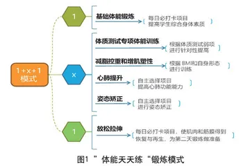 可视化家庭锻炼平台赋能学生体质提升