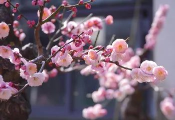 涵涵的春天