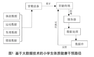 基于大数据技术的小学生体质健康  课内外干预路径与策略