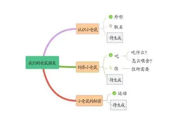 构建生活教育理论下的班本课程