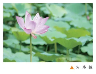 孩子，你配得上世间一切美好 
