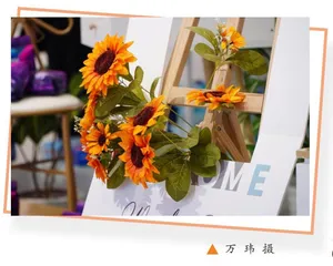 运用非暴力沟通，智慧化解冲突