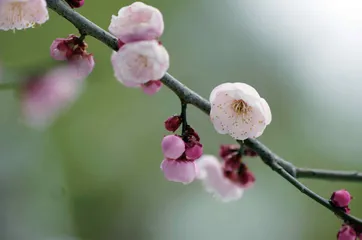 重塑自信，花开有时  