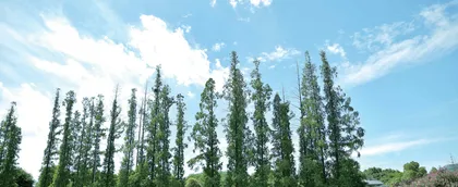 莫论输赢，过程亦是风景